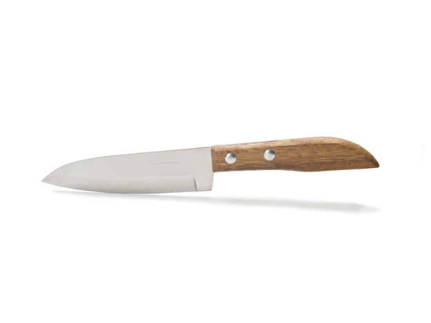Obstmesser (10 cm)