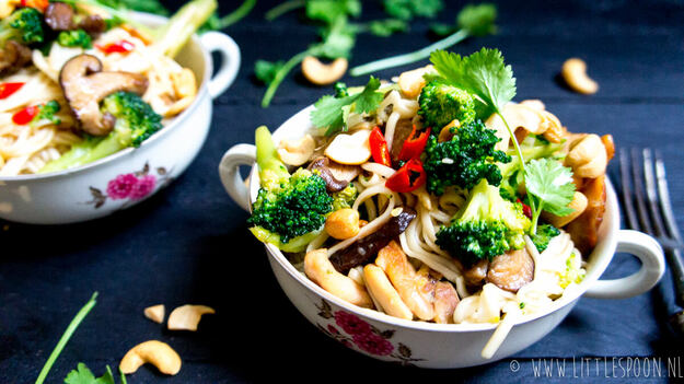 Udon-Nudeln mit Huhn